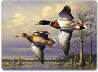 Corkback Hardboard Lodge Cabin Duck Coasters Water Birds Corkback Hardboard Lodge Cabin Duck Coasters Water Birds